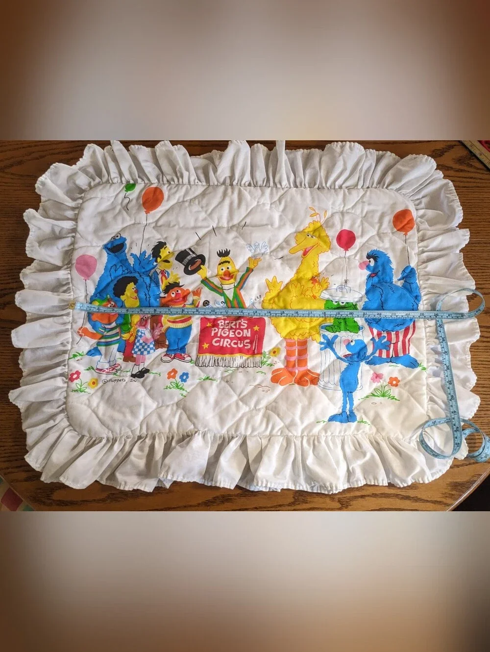 Sesame Street Ruffled Pillow Cover Vintage Bert's Pigeon Circus